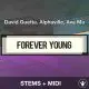 Forever Young - David Guetta, Alphaville, Ava Max - Stems+Midi