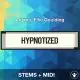 Hypnotized - Anyma, Ellie Goulding - Stems+Midi